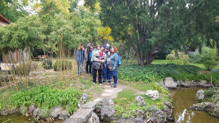 Őszi séta a zuglói Japánkertben